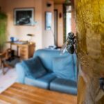 Natural Methods to Get Rid of House Flies