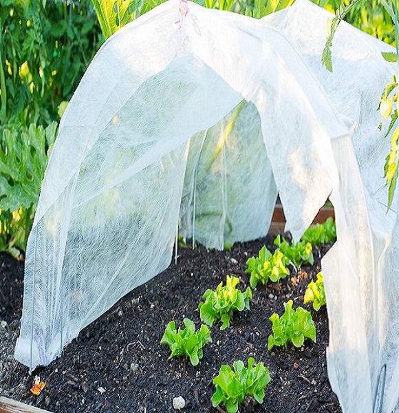 Row-Cover-Hoops-for-Frost-and-Pest-Protection