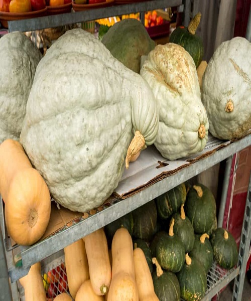 Storage Pumpkins and winter squashes for winter