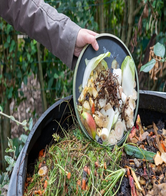 empty the compost bin in your kitchen
