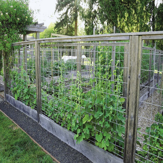 fence around your vegetable garden