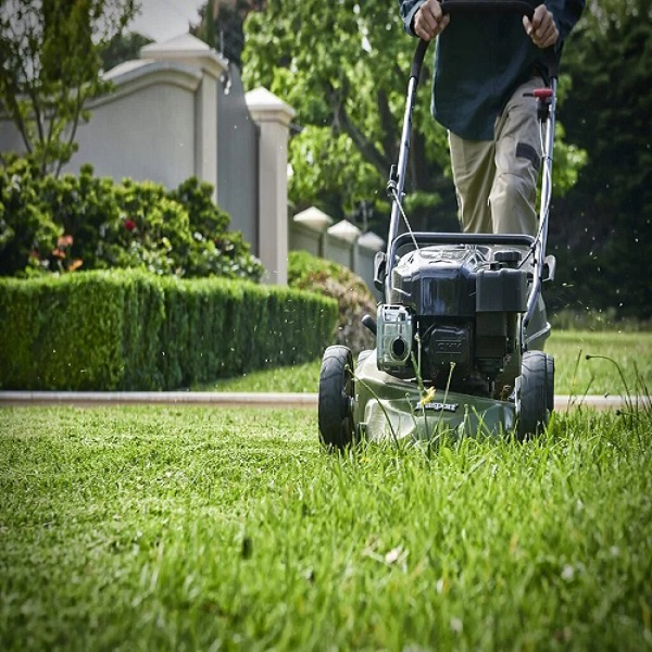 regular mowing garden