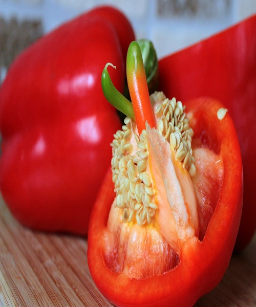 saving-peppers-seeds