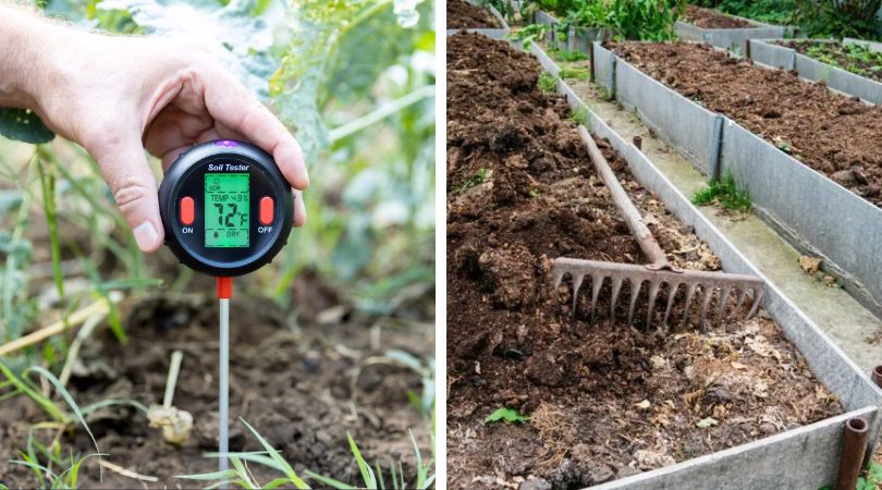13 Tasks You shouldn’t Skip to Close out Your Gardening Season Properly
