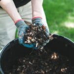 6 Ways to Speed Up Your Compost
