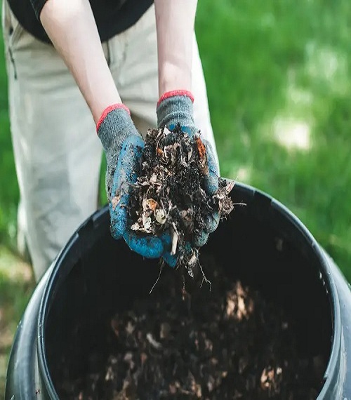 Creating a Compost Pile for Potting Soil