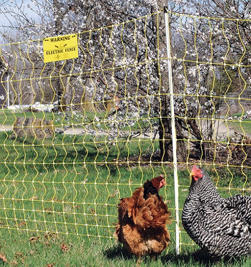 Electric Poultry Netting