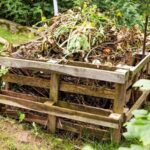 How to Start Your Fall Compost Pile Right Now to Energize Your Garden Next Year!