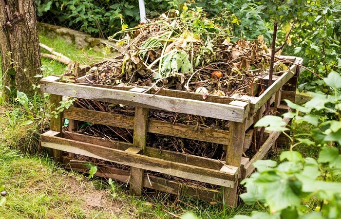 How to Start Your Fall Compost Pile Right Now to Energize Your Garden Next Year!