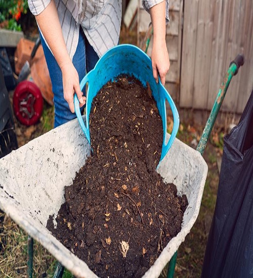 Making a Compost Pile for Potting Soil