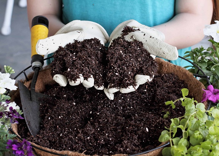 The Best Way to Reuse Old Potting Soil From Your Pots & Hanging Baskets