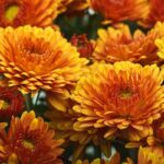 The Secrets to an Amazing Autumn Display! 3 Amazingly Distinctive Fall Plants