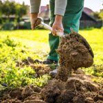 Top 10 Gardening Mistakes You May Be Making and Aren't Aware Of