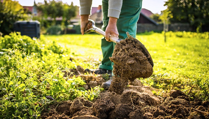 Top 10 Gardening Mistakes You May Be Making and Aren't Aware Of