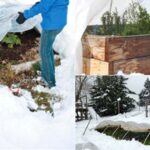 Top 5 Methods for Winter and Year-Round Vegetable Gardening