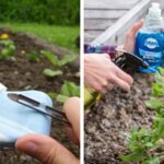 Top-9-Reasons-Why-Soap-Is-a-Great-Gardening-Tooll