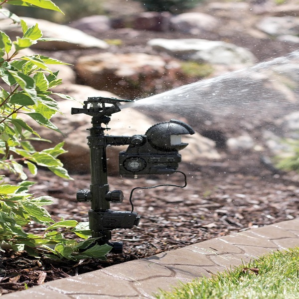 USE A MOTION-ACTIVATED SPRINKLER