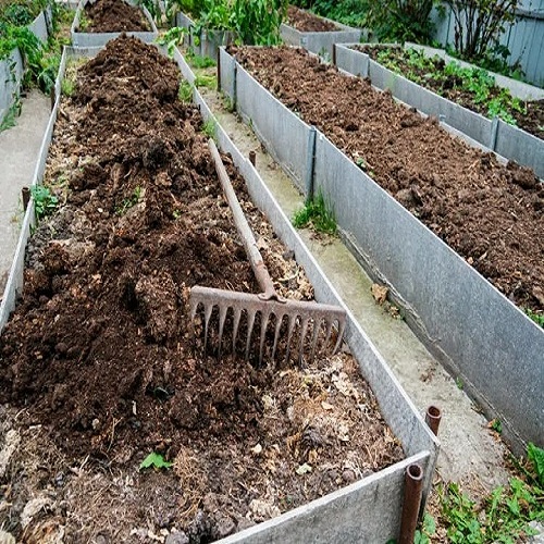 manure-veg-garden