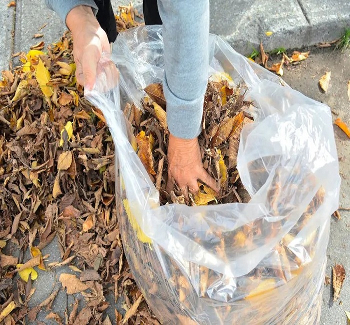 raking-shredding-leaves