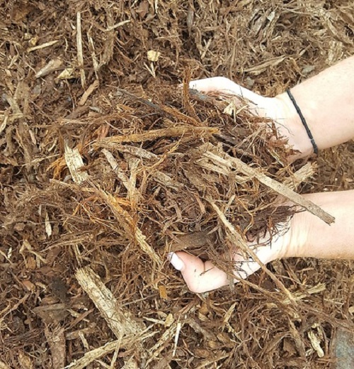 shredded hardwood bark