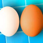 Are-white-and-brown-eggs-different