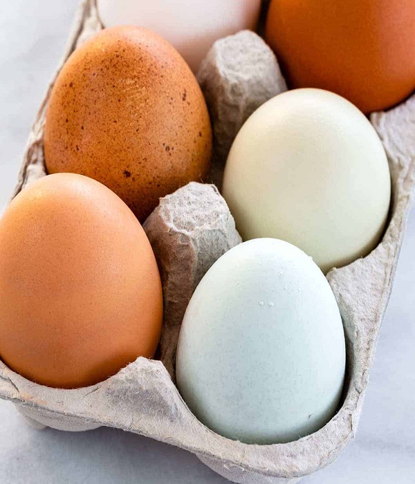 Eggs-come-in-a-variety-of-colors