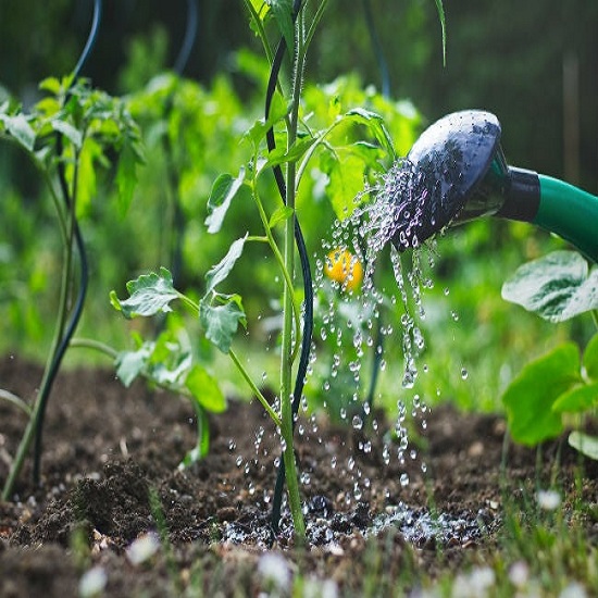 Prevent-Pests-from-Invading-Your-Garden