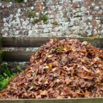 The-Secret-to-Making-Superb-Compost-from-Leaves