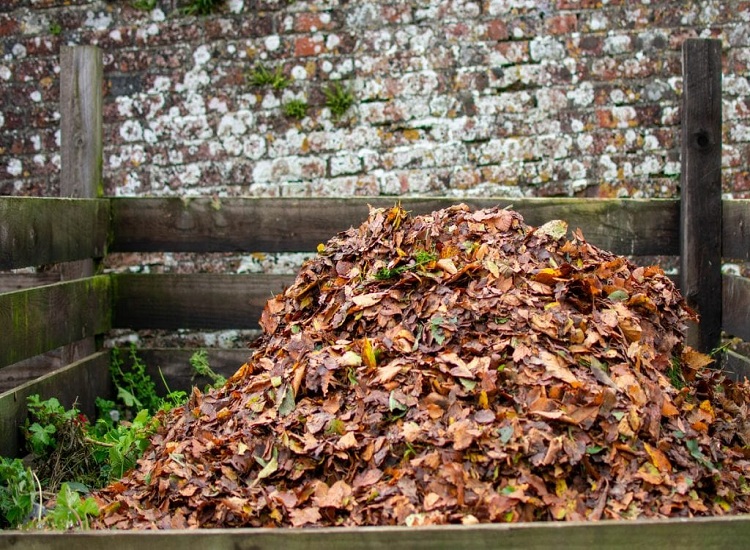The-Secret-to-Making-Superb-Compost-from-Leaves