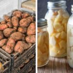 Top-5-Ways-That-Will-Keep-Your-Potatoes-Fresh-For-Months