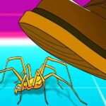 Why-You-Should-Never-Kill-a-Spider