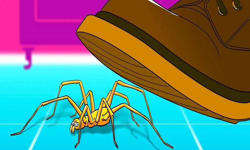 Why-You-Should-Never-Kill-a-Spider