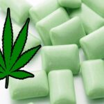 Would-you-Use-Marijuana-Gum-to-Relieve-Pain