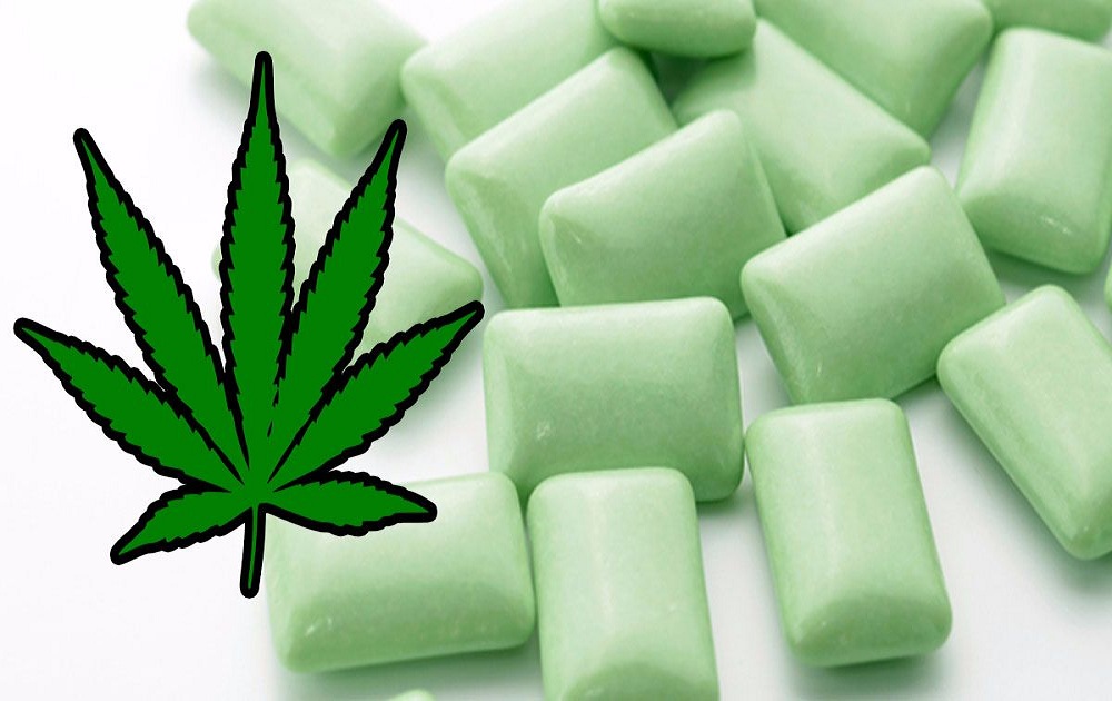 Would-you-Use-Marijuana-Gum-to-Relieve-Pain