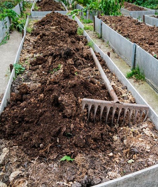 aged-manure-in-raised-beds