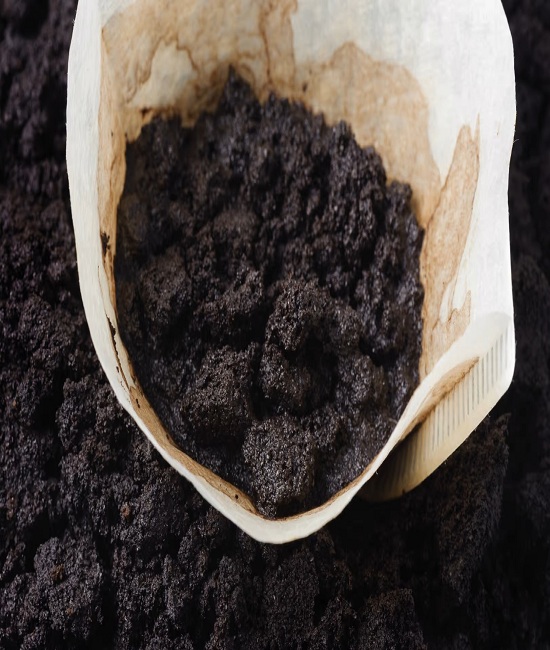 coffee-grounds-and-filter