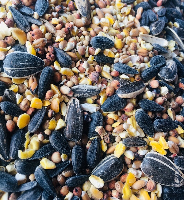Cracked-corn-peanuts-black-oil-sunflowers