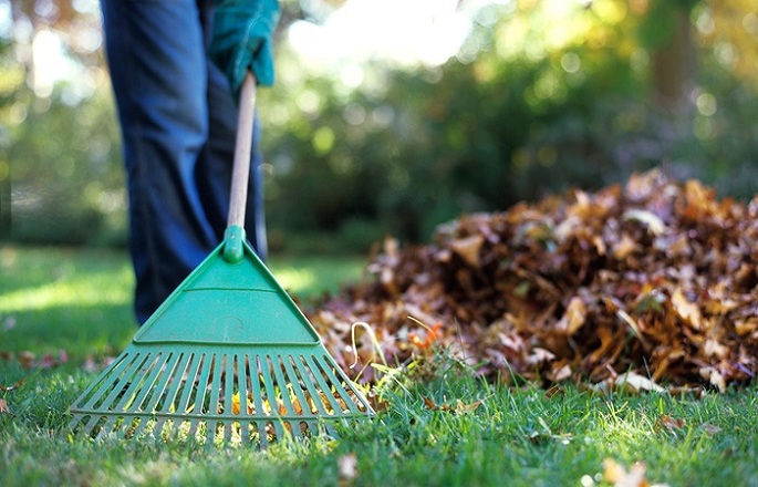 Keep-your-yard-clean