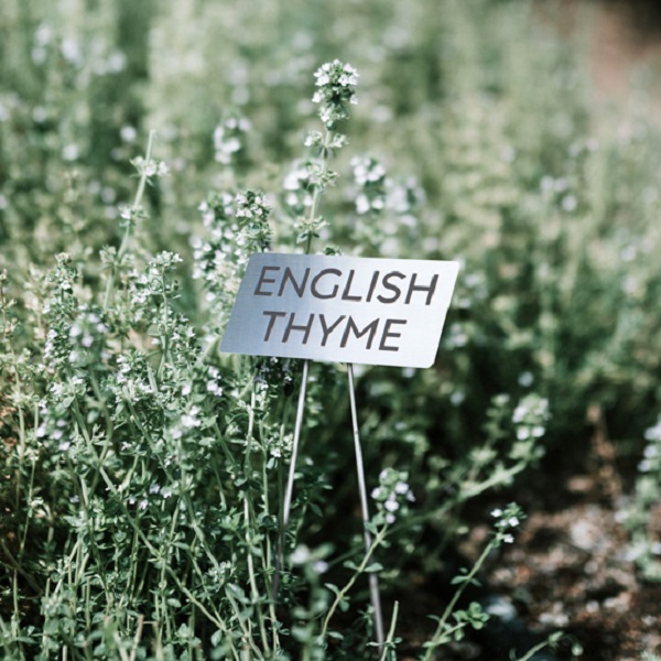 Stainless-Steel-Garden-Markers