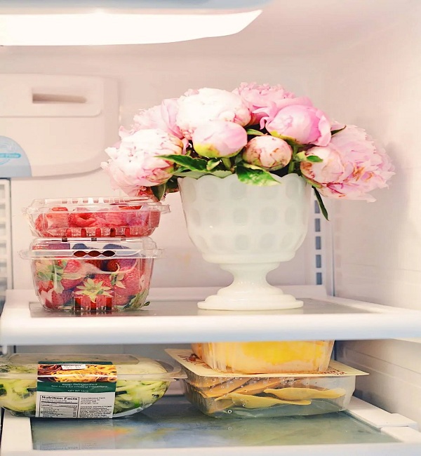 Store-fresh-flowers-in-the-refrigerator