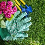 Top-Gardening-Gift-Ideas-for-Your-Favorite-Green-Thumb