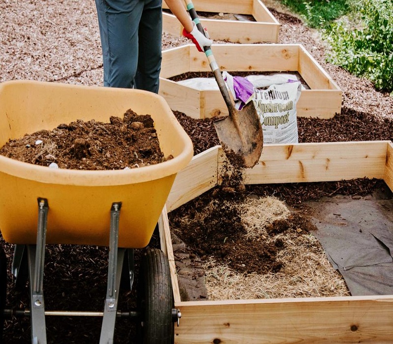 mulch-raised-beds