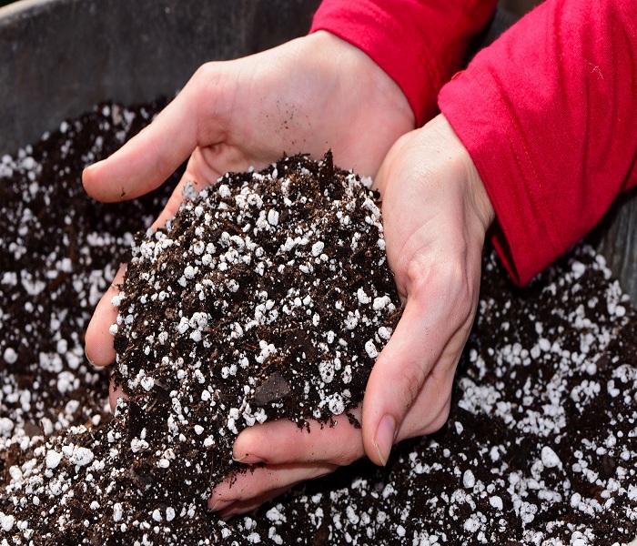 raised-beds-perlite