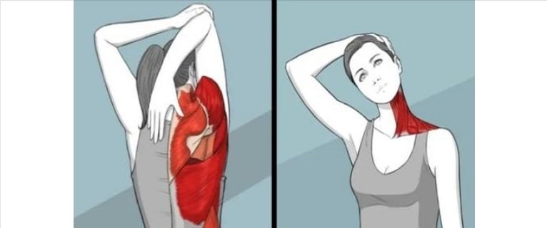 12-Best-Exercises-to-Make-you-More-Flexible