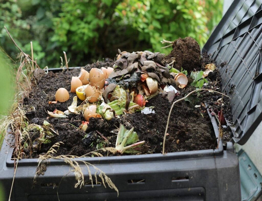 Add-eggshells-to-the-compost-pile