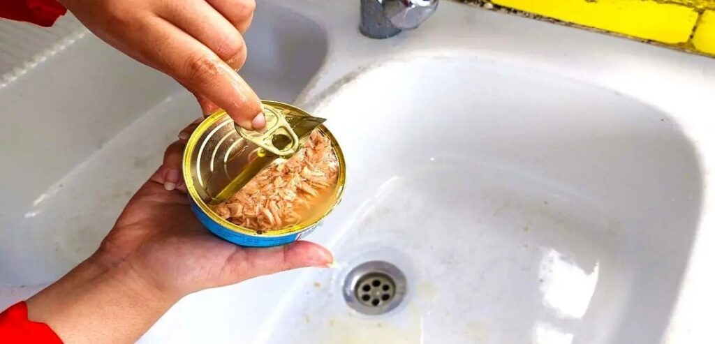 Reasons-Why-You-Shouldnt-Pour-Tuna-Oil-Down-the-Sink