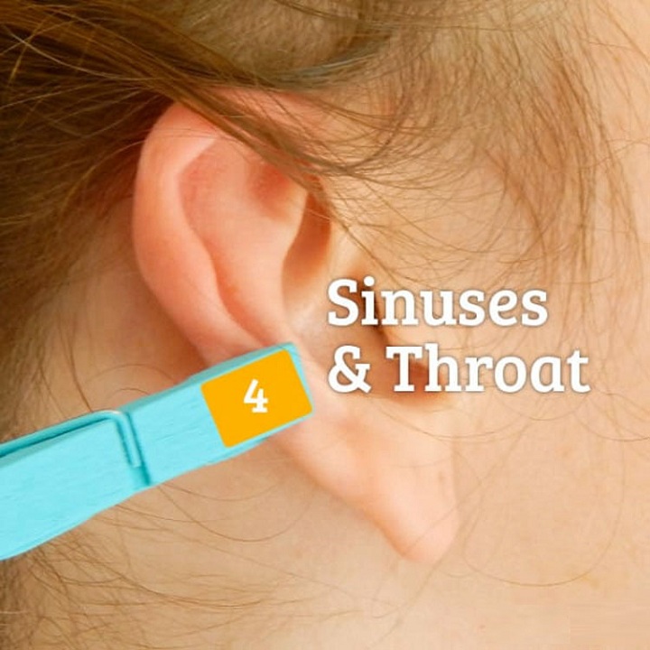 Sinuses-and-throat