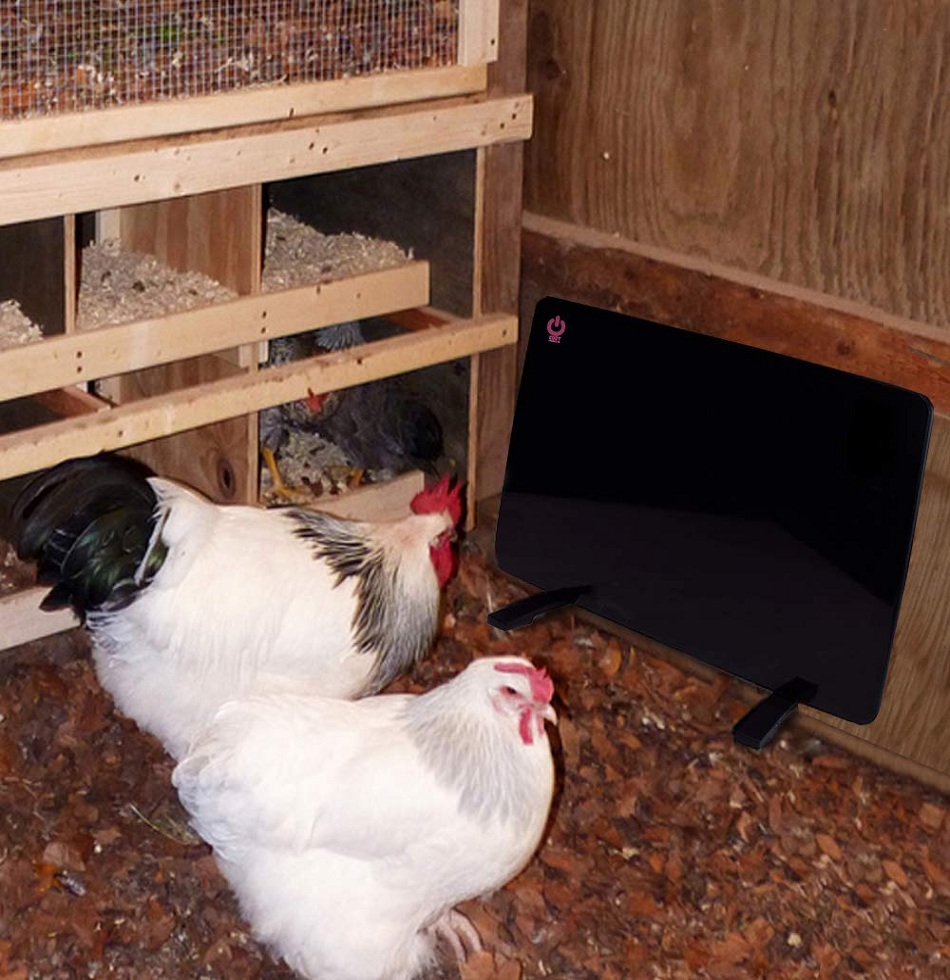 Using-A-Flat-Panel-Chicken-Heater