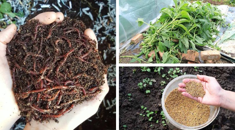 15-Easy-Steps-to-Better-Garden-Soil