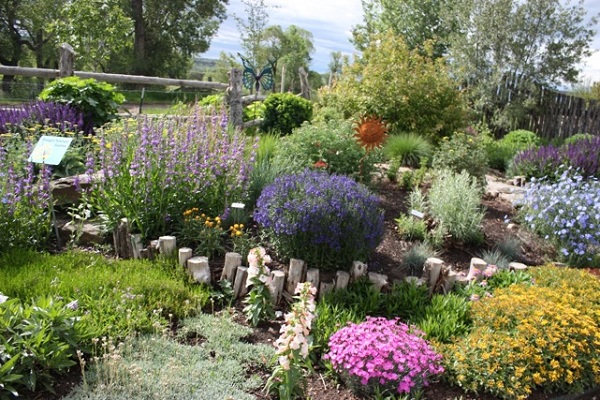 Converting-to-a-xeriscape-garden-eliminates-the-need-to-water